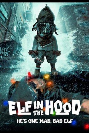 Elf in the Hood - Vj Soul