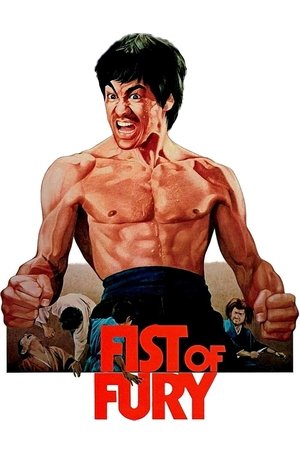 Fist of Fury - Vj Jingo