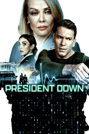 President Down - VJ Ice P