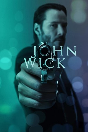 John Wick - Vj Junior