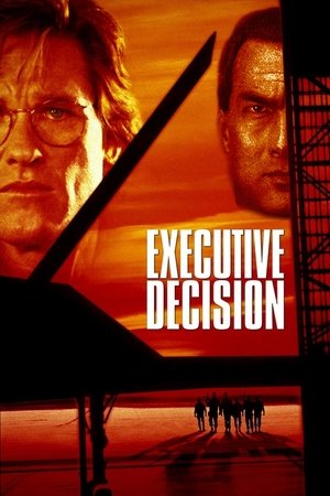 Executive Decision - Vj Sammy