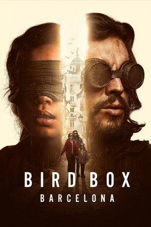 Bird Box Barcelona - Vj Junior